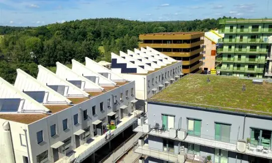 Green roofs on apartment buildings.