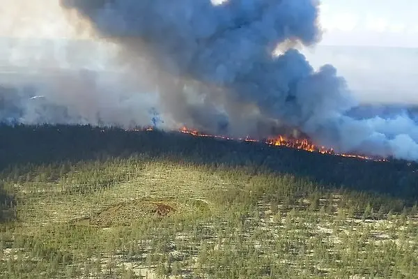 Stor brand i skogsområde.