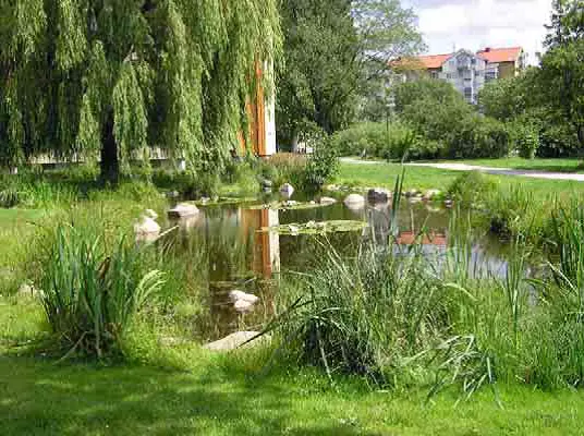 Dagvattendamm på en grönyta i Malmöstadsdelen Augustenborg.