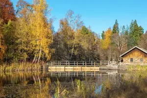 Damm i Sverige.