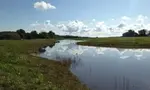 Wetland in Getinge, Sweden.