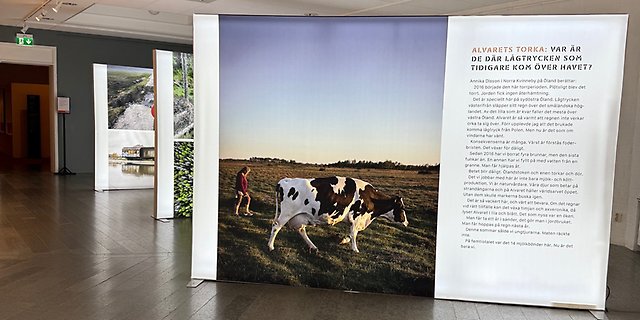 Vittnesmålsutställning på Dalarnas museum 