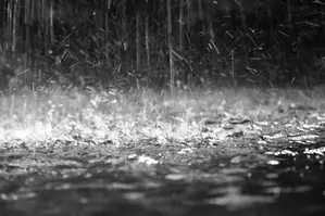 Regn mot mark.