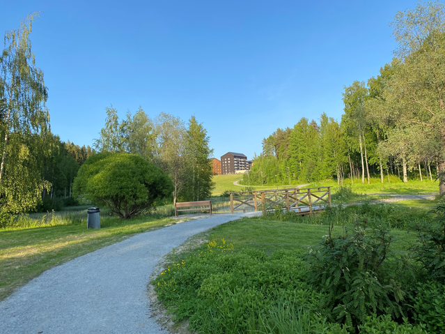 Grön parkmiljö med gångväg, bro och rik vegetation, med bostadshus i bakgrunden.