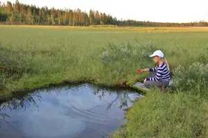 En vattenkälla i en myr. En flicka hämtar vatten med ett kärl.