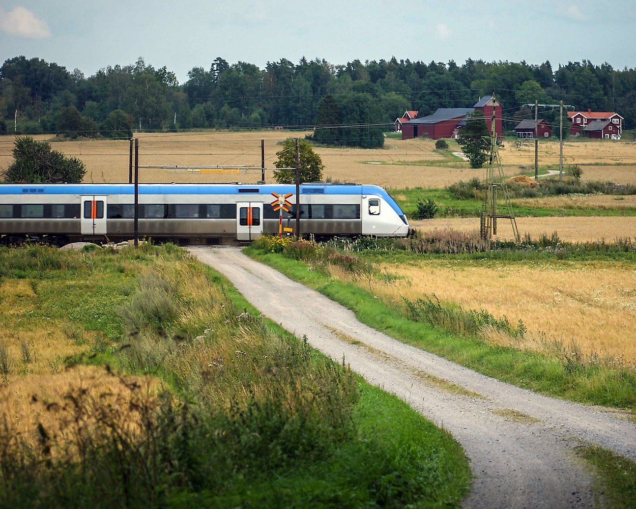 Park med barn och vuxna
