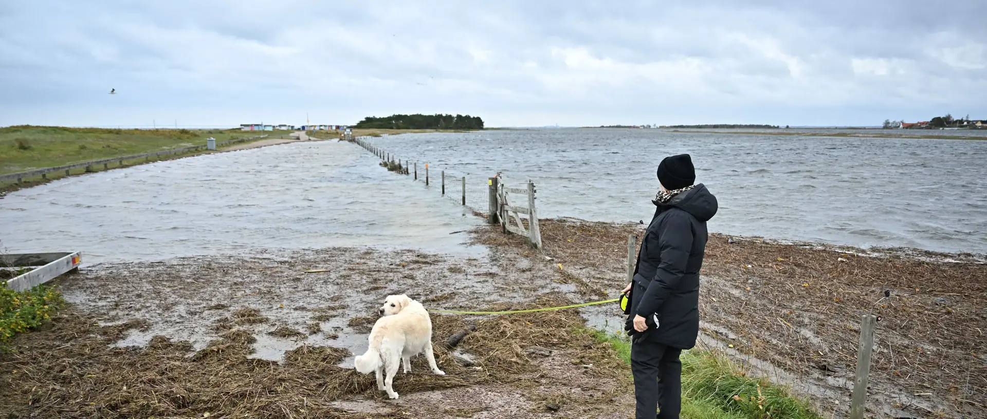 Kvinna med hund på promenad har stannat till vid översvämmad väg.