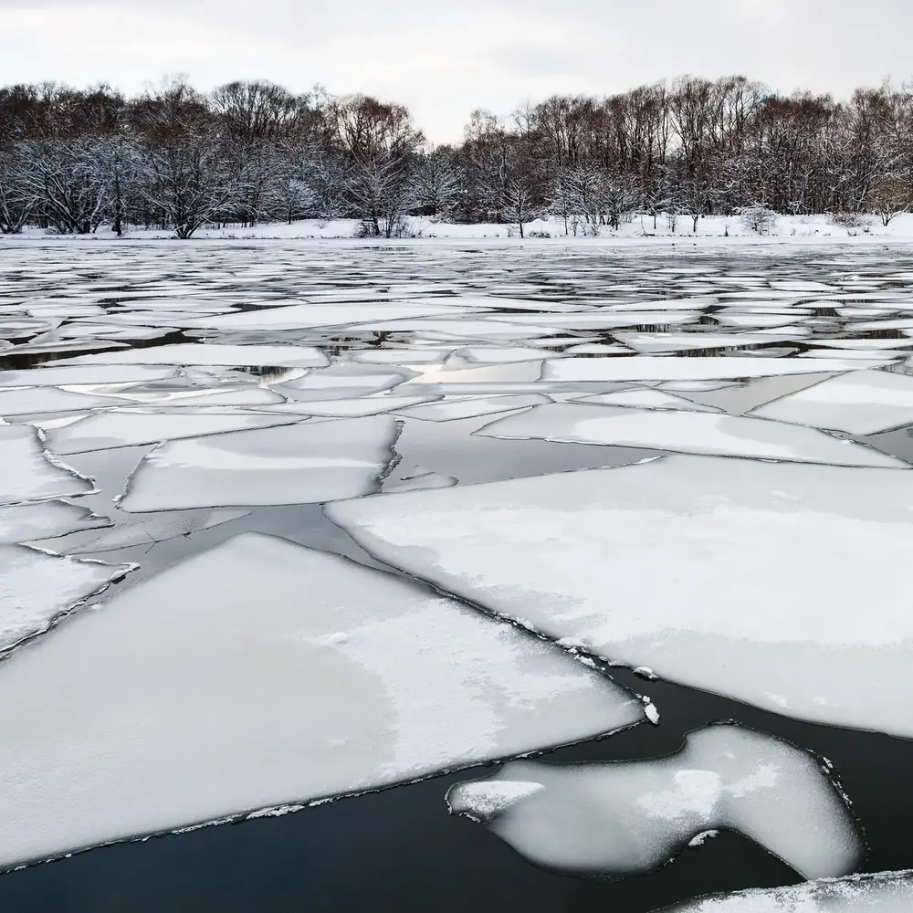 Park med barn och vuxna