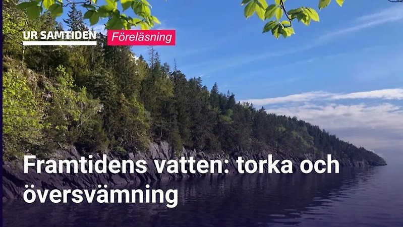 Bild från film på SVT Play.