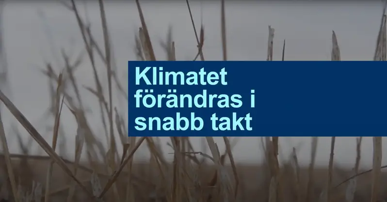 Naturvårdverkets film om klimatanpassning. Klimatet förändras i snabb takt.