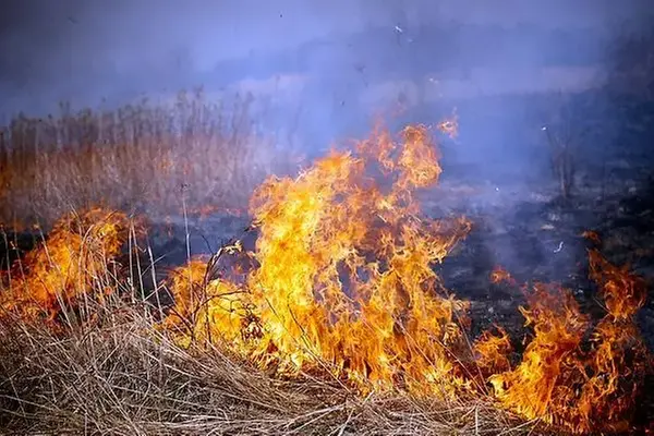 Kraftig gräsbrand.