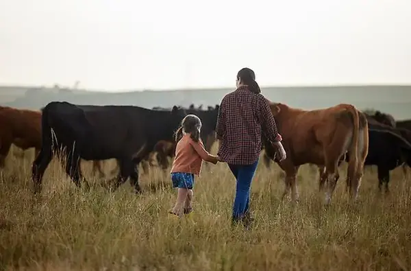 En mamma och hennes dotter går omkring bland kor utomhus.