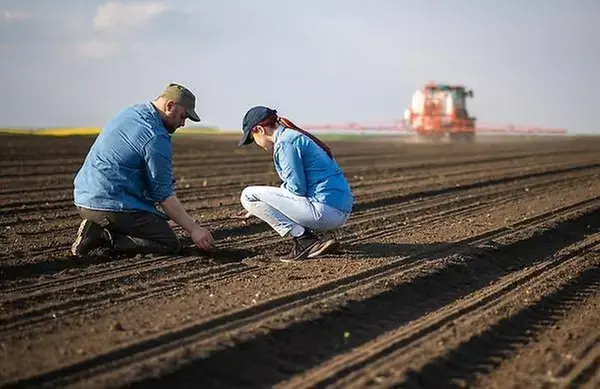 En man och en kvinna hukar sig på en åker. En traktor kör i bakgrunden.