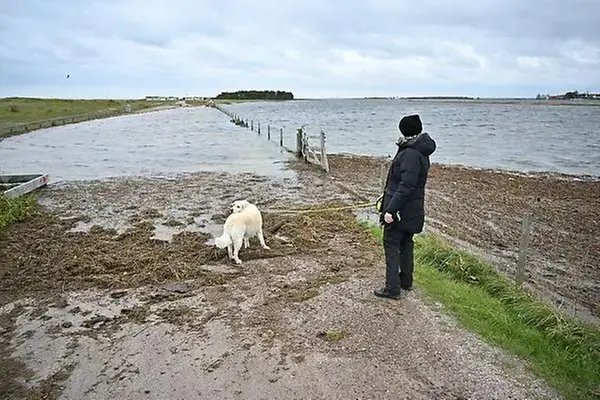 Kvinna med hund står intill en åker där vattnet stigit snabbt.