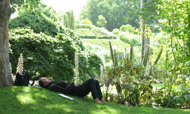 Man laying under a tree in a park.