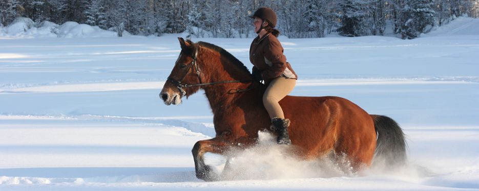 Häst och ryttare rider i djup snö.