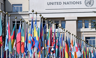 Flaggor utanför FN-byggnad