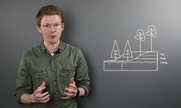 Anders Magnebäck, Skogsstyrelsen, berättar om ståndortsanpassning